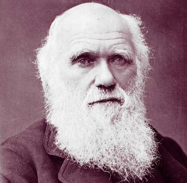 Charles_Darwin_photograph_by_Herbert_Rose_Barraud,_1881_2