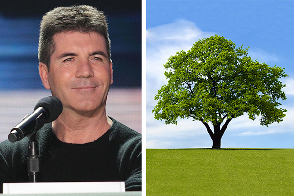 simon_cowell_75276567234